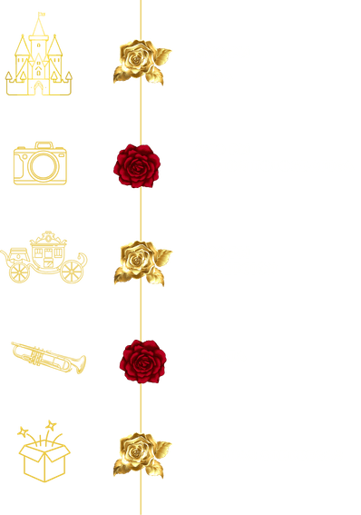 Timeline del evento